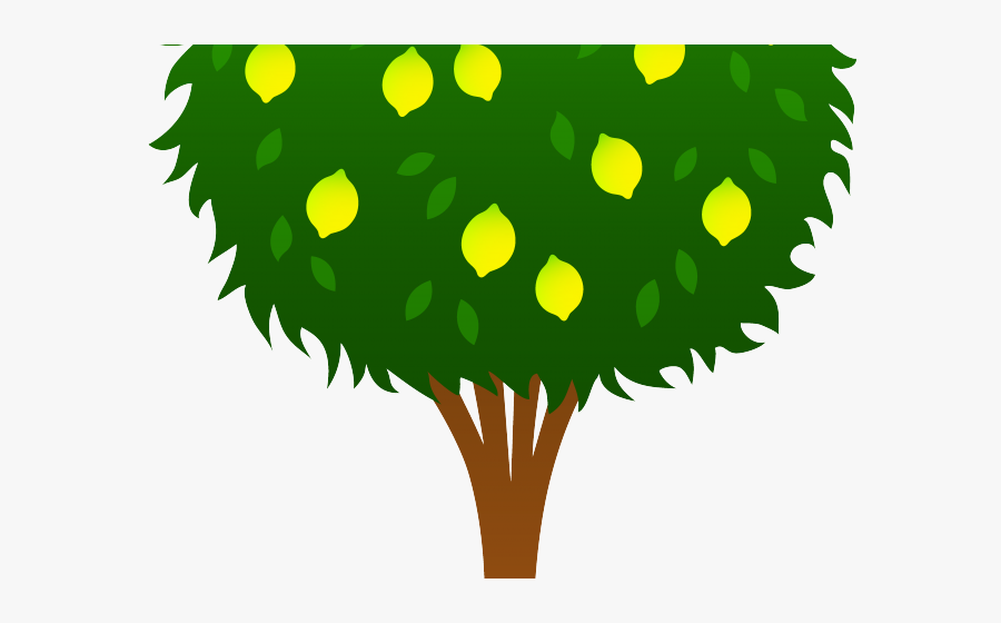 Transparent Seed Clipart - Lemon Tree Drawing Easy, Transparent Clipart