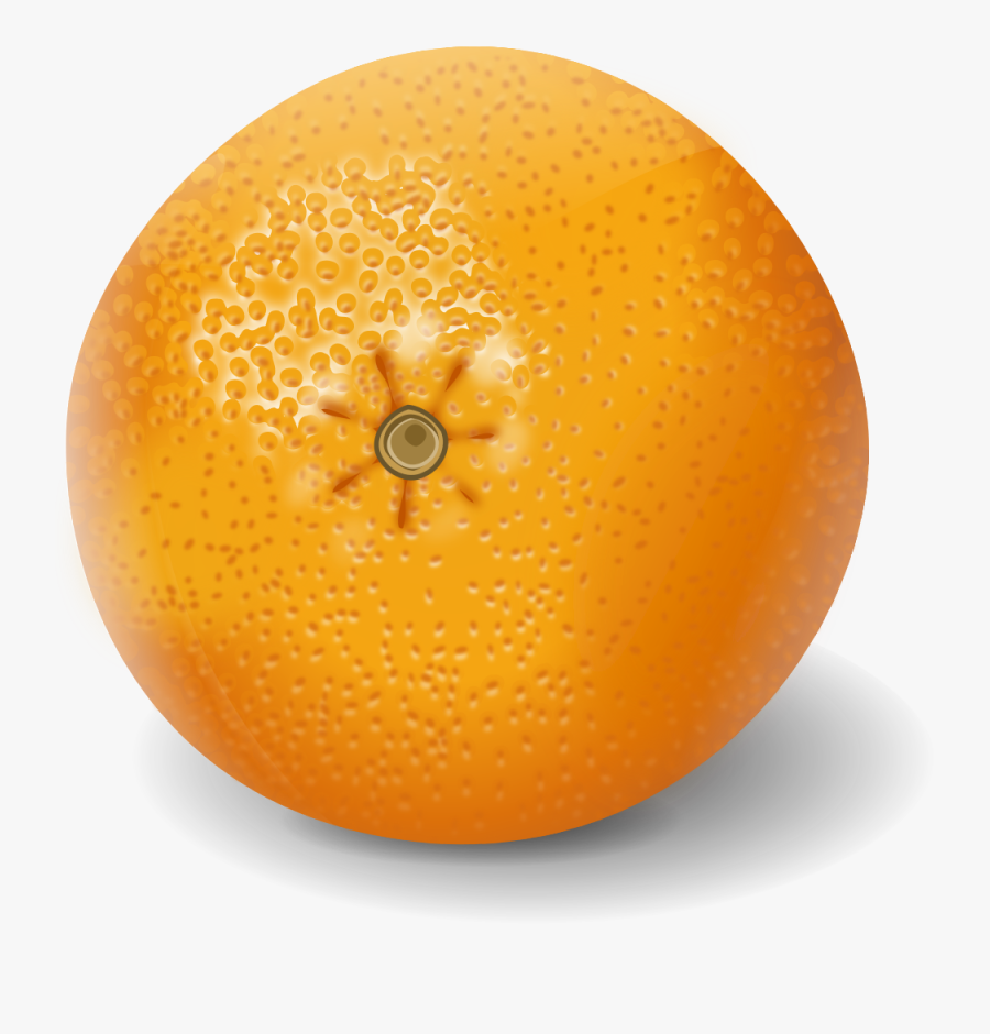 Free To Use Amp Public Domain Oranges Clip Art - Apelsinas Png, Transparent Clipart