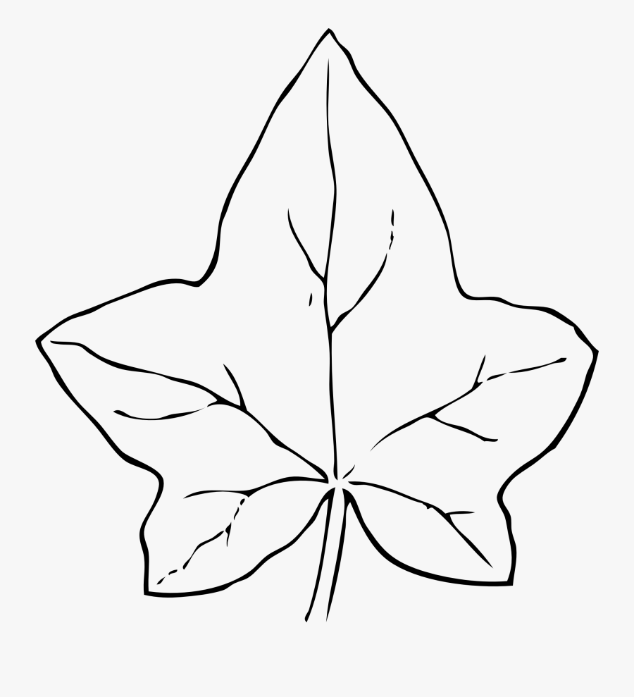 Ivy Leaf 2 Svg Vector File, Vector Clip Art Svg File - Ivy Leaf Clip Art, Transparent Clipart