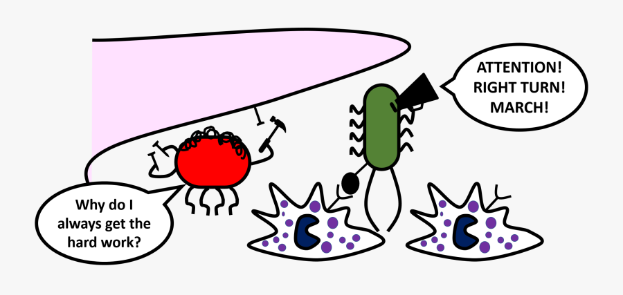 Microbiota - Troy High School, Transparent Clipart