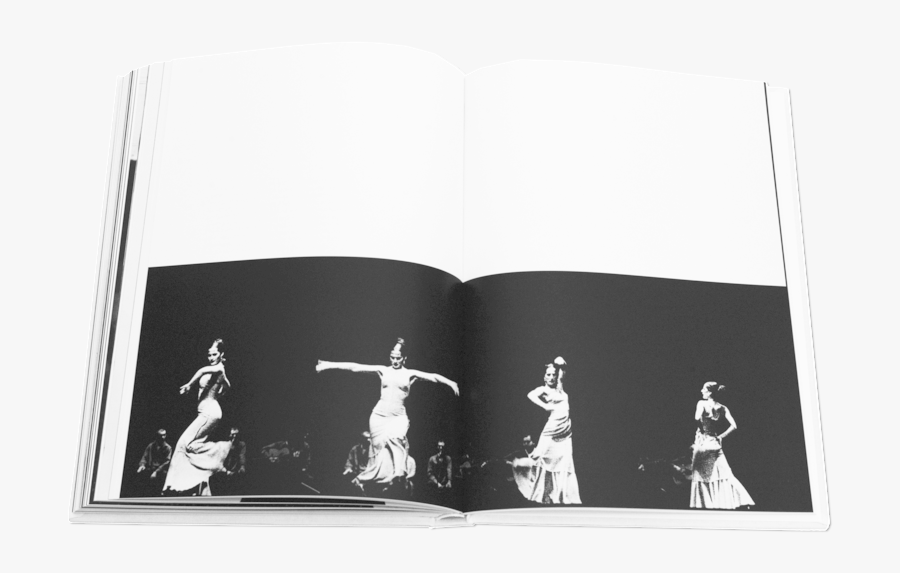 Transparent Flamenco Png - Performance, Transparent Clipart