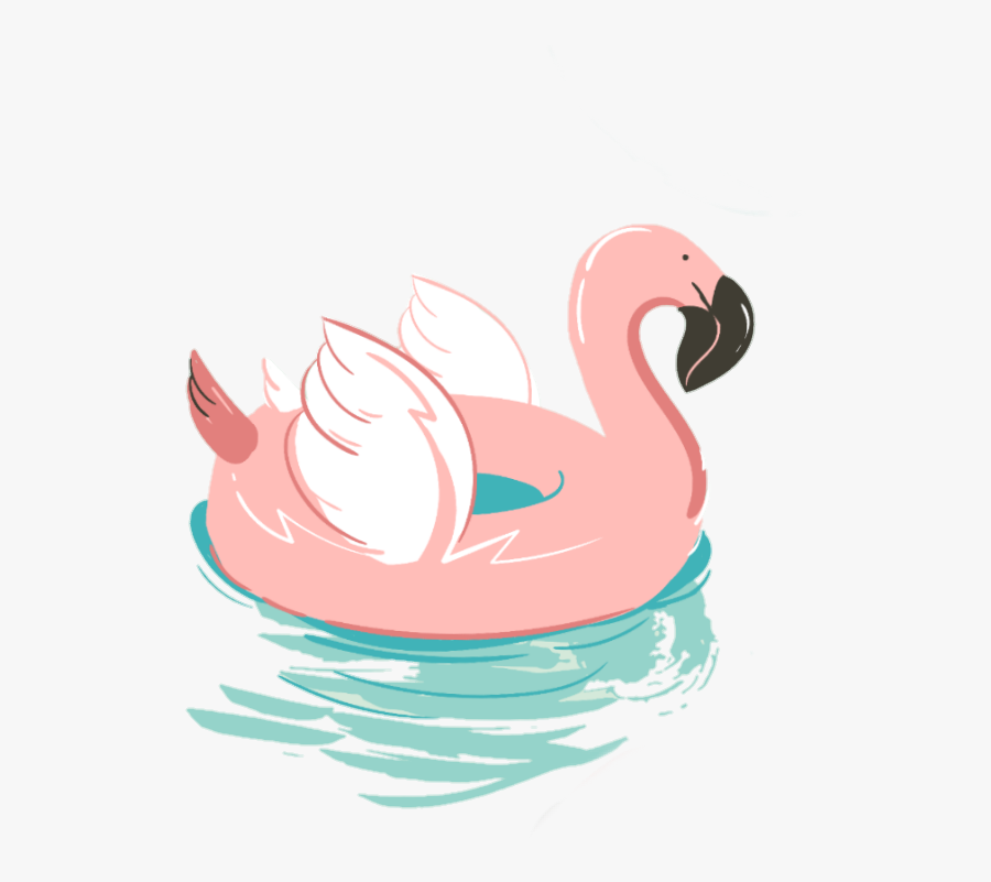 #flamingo #flamenco #alas #wings #water #agua #verano - Duck, Transparent Clipart