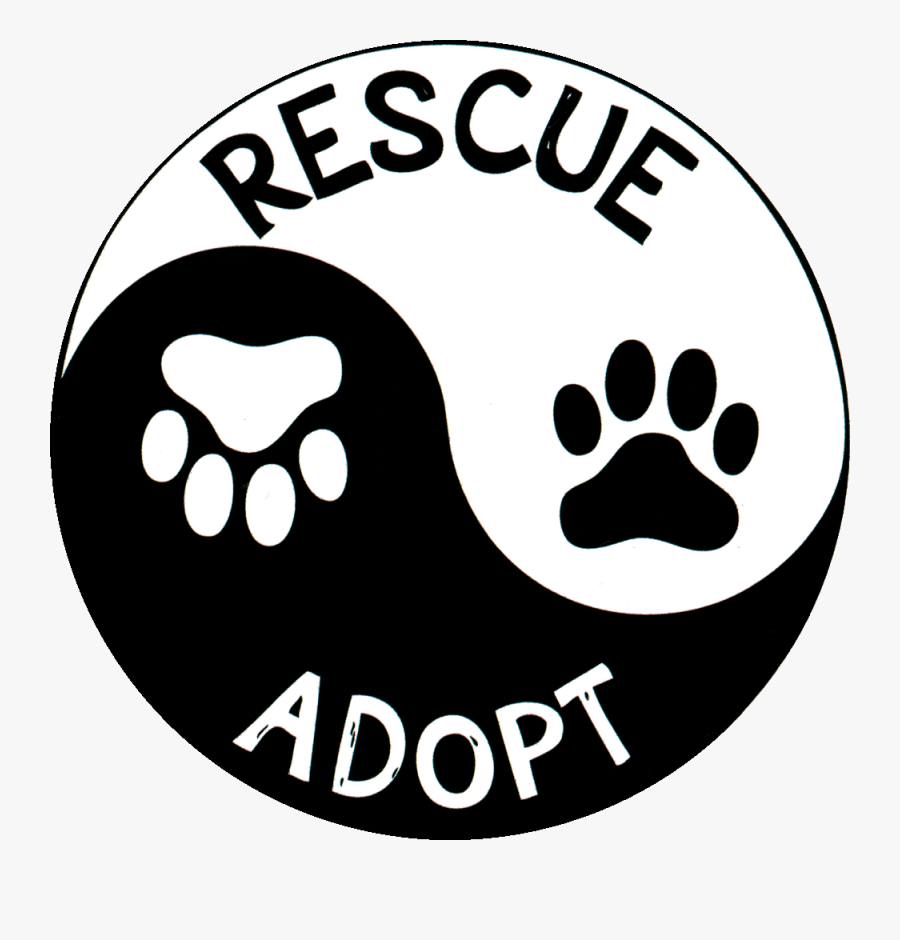 Window Sticker / Decal, Transparent Clipart