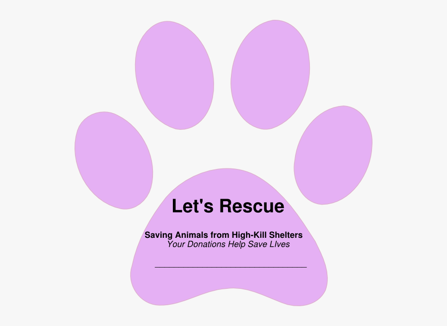 Circle, Transparent Clipart