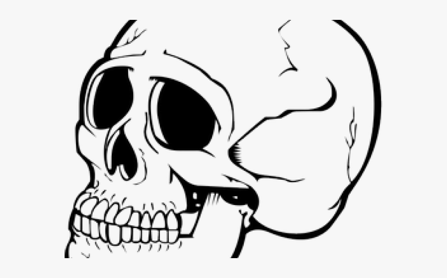 Skeleton Clipart Nose - Скелет Png, Transparent Clipart