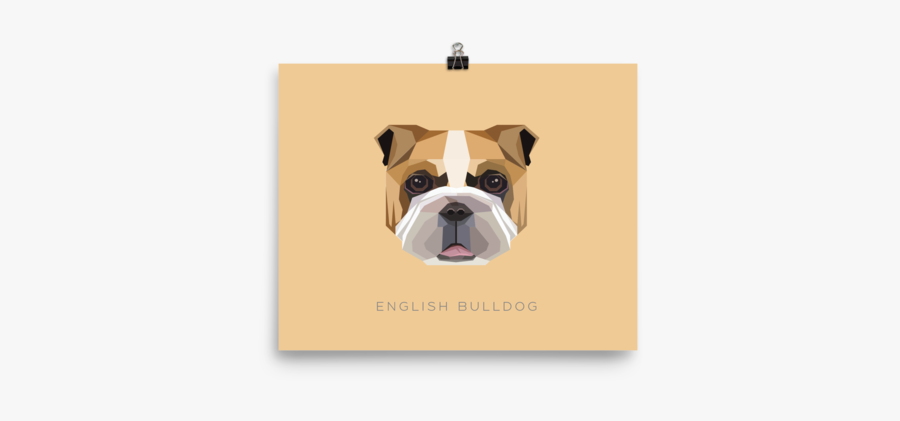 Olde English Bulldogge, Transparent Clipart