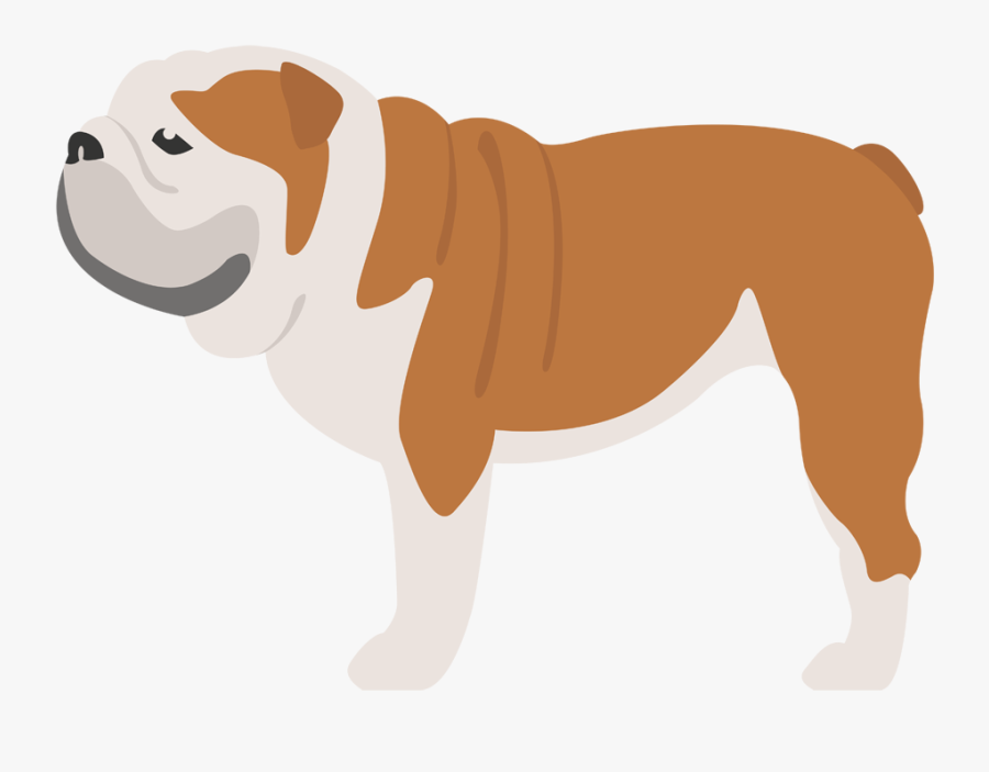 Old English Bulldog Dog Breed Bullmastiff Caucasian - Para Whatsapp De Bulldog, Transparent Clipart