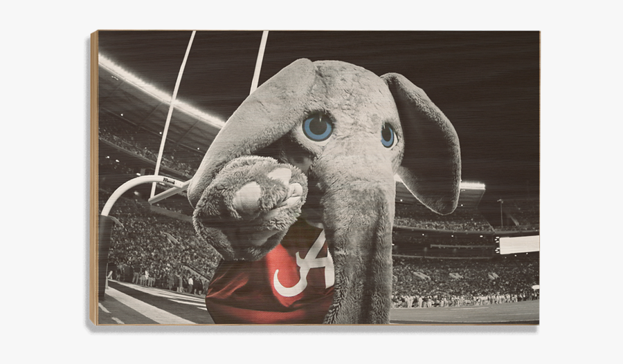 Clip Art Big Al Mascot Pictures - Indian Elephant, Transparent Clipart