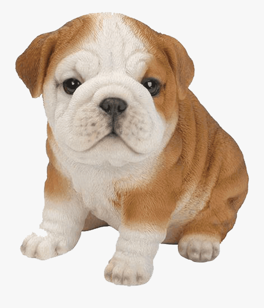 Bull Dog Transparent Png, Transparent Clipart