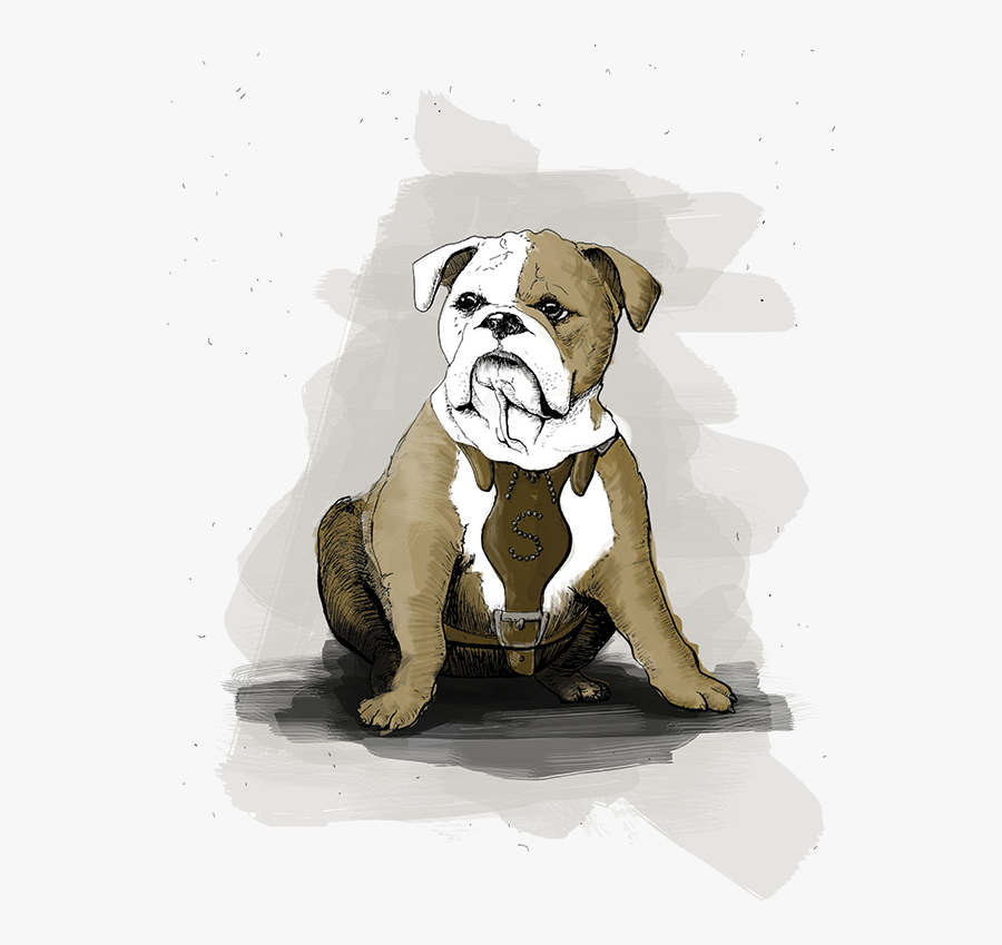 In Fact His Very Name Honors The Legendary- - Olde English Bulldogge, Transparent Clipart
