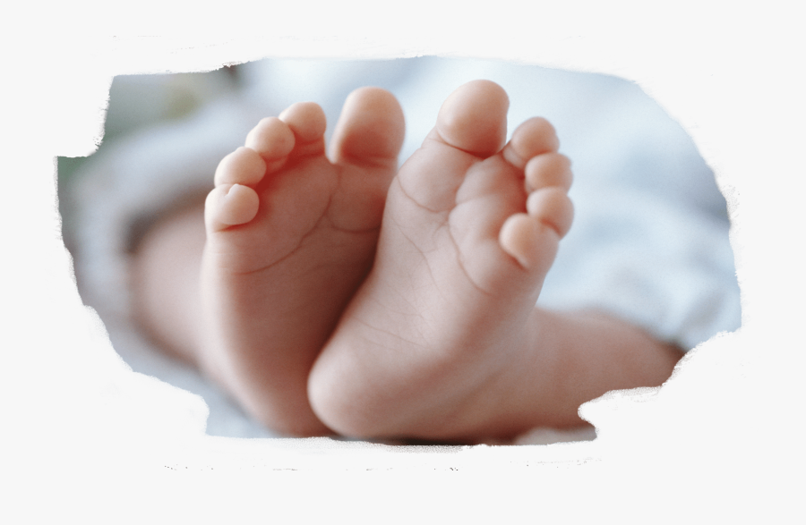 Şüpheli Bebek Ölümü, Transparent Clipart