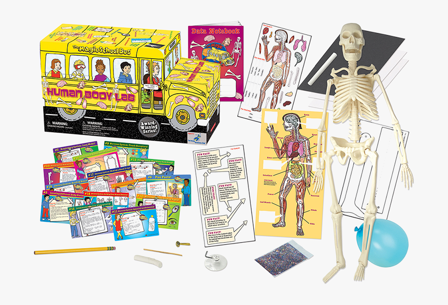The Magic School Bus Human Body Lab - The Magic School Bus, Transparent Clipart