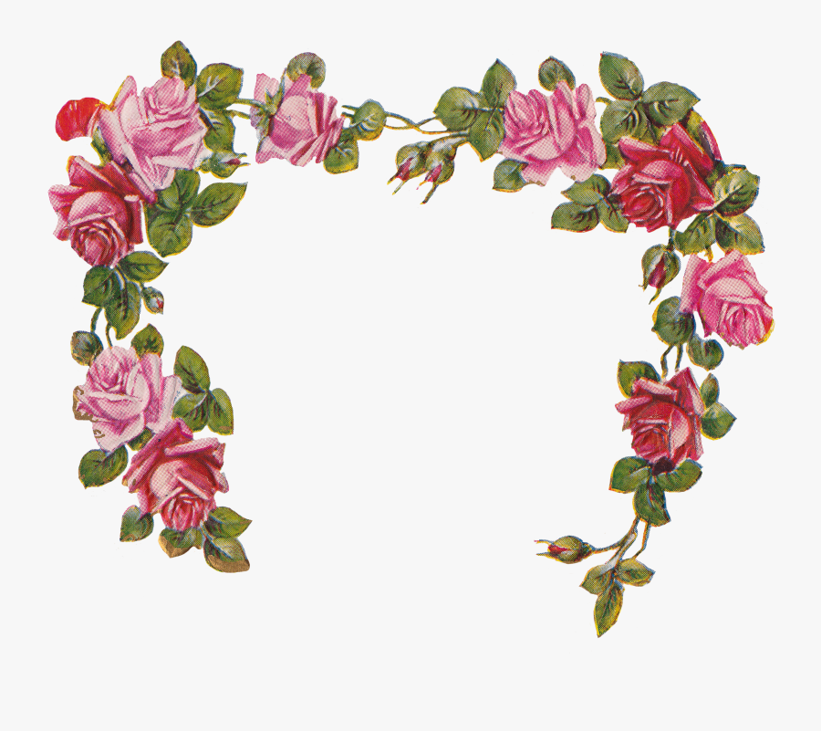 Rose Cliparts Png Transparent Background - Floral Frame Transparent Background, Transparent Clipart