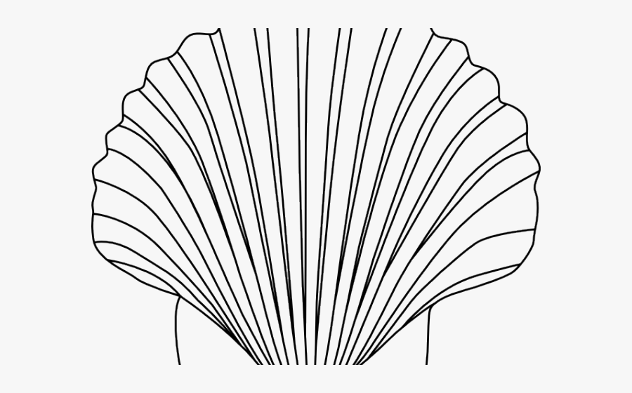 Shell Clipart Small Shell - Free Seashell Clipart Black And White, Transparent Clipart