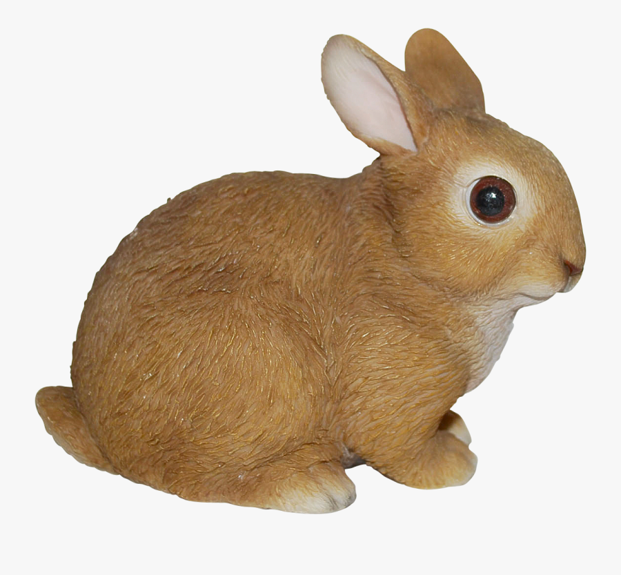 Baby Brown Rabbit Transparent, Transparent Clipart