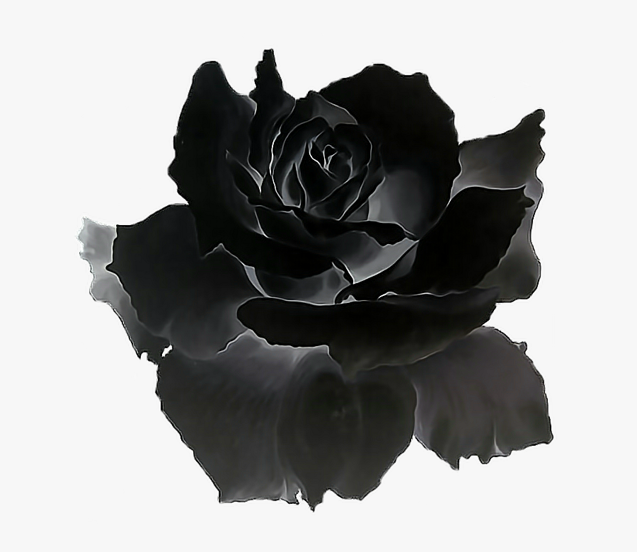 Black Rose Png - - Black Rose Gif Transparent, Transparent Clipart