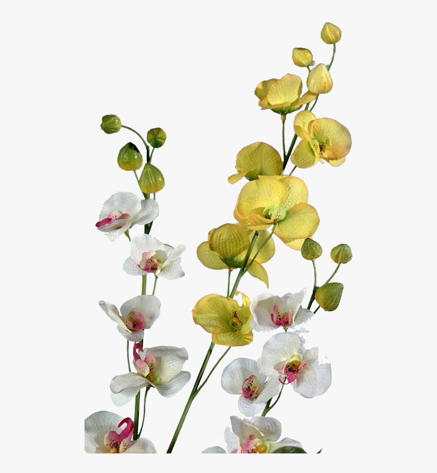 Psd Background New Psd Photoshop Psd Psd Psd - Psd Clipart For Karizma Album, Transparent Clipart