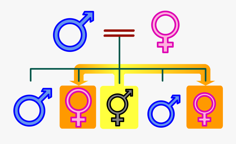 Nuclear Family Member Sister, Transparent Clipart