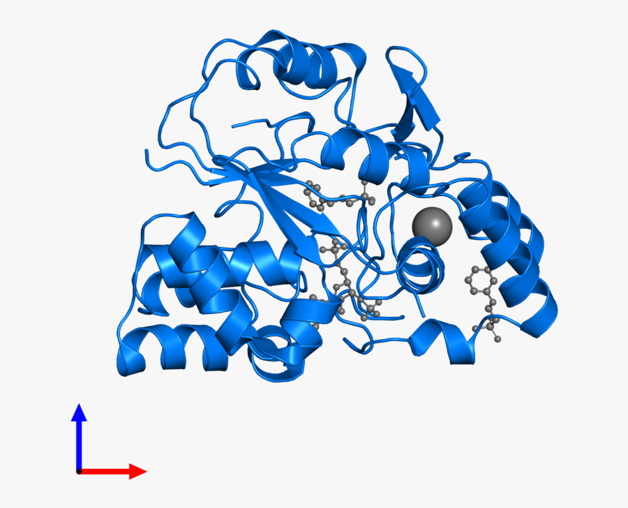 <div Class="caption-body, Transparent Clipart