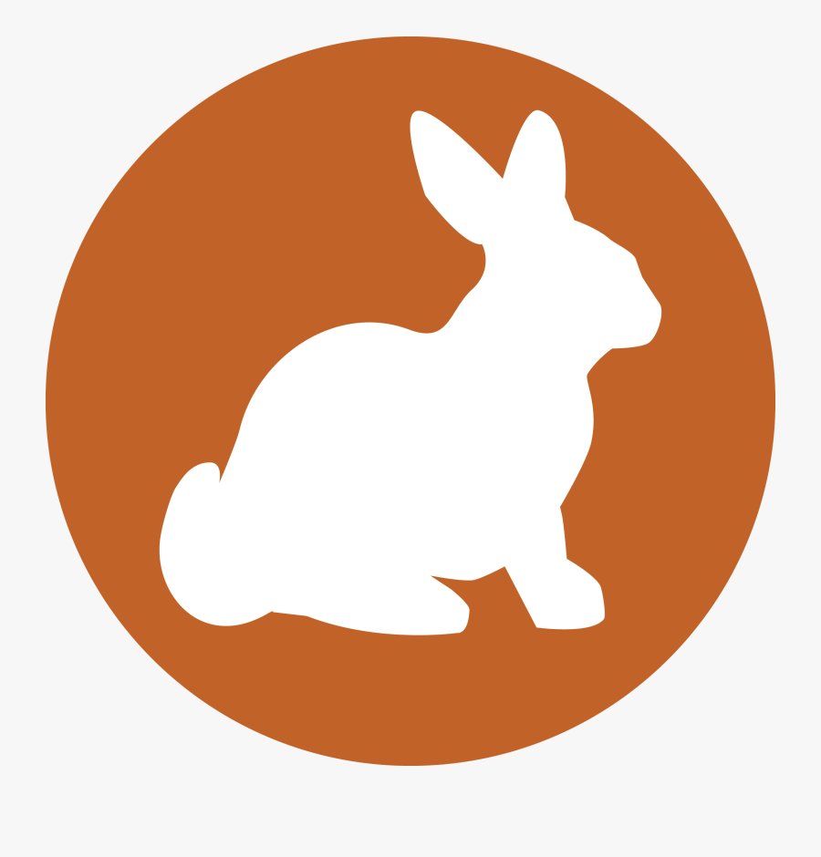 Domestic Rabbit, Transparent Clipart