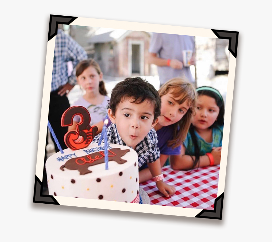 Birthday Parties At Zoomars - Picture Frame, Transparent Clipart