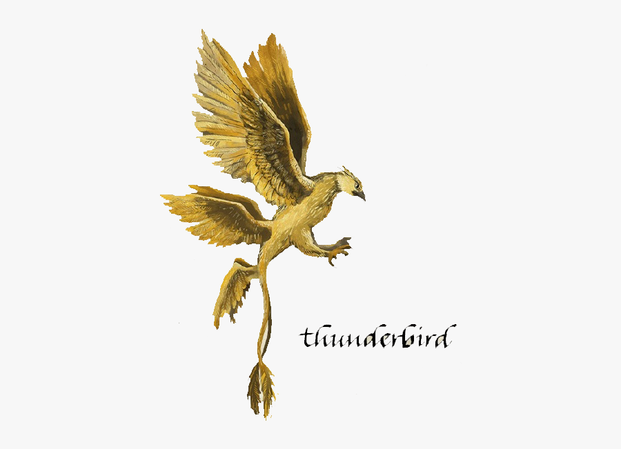 Fantastic Beasts And Where To Find Them Harry Potter - Thunderbird Harry Potter, Transparent Clipart