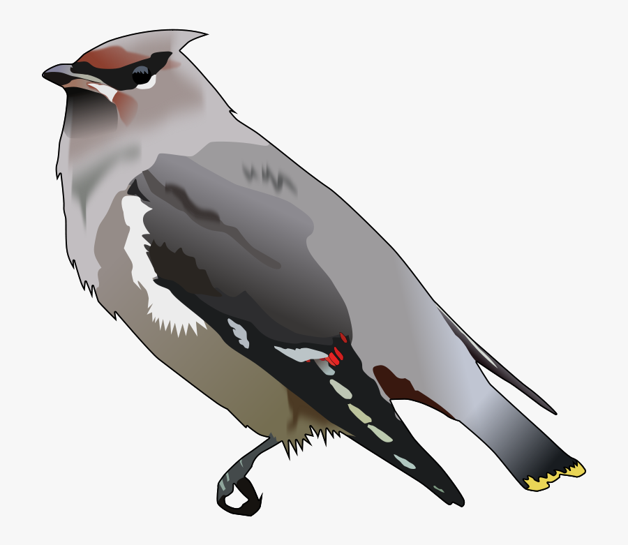 Thunderbird Clipart , Free Transparent Clipart - ClipartKey