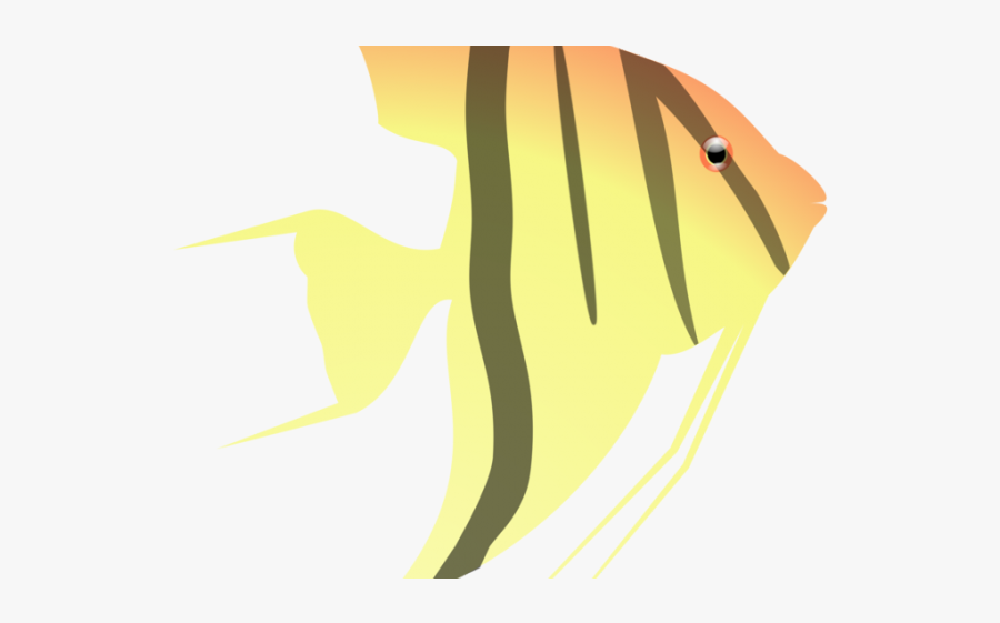 Vector Graphics, Transparent Clipart