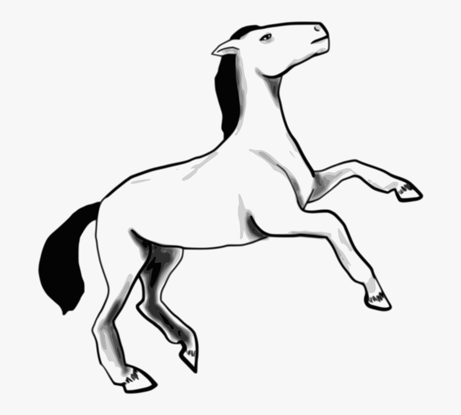 Morski Konjiček Pobarvanka, Transparent Clipart