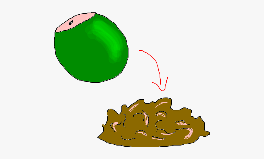 Clip Art De N Br Ass - Illustration, Transparent Clipart