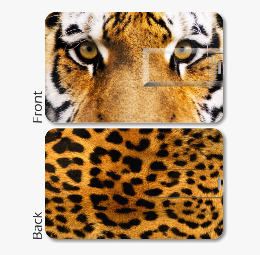Tiger Print Card Pen Drive - Cheetah Skin Wallpaper Hd, Transparent Clipart