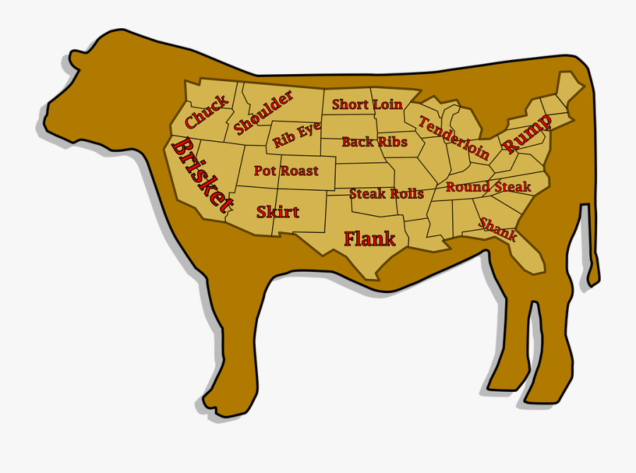Beef Cattle Feedlots, Transparent Clipart