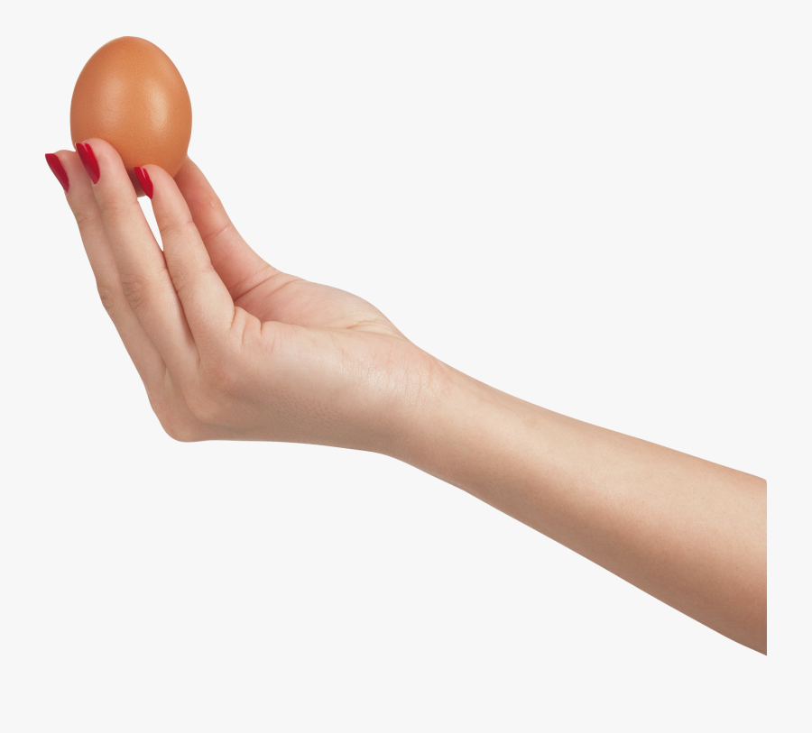 Clip Art Png For Free - Egg In Hand Png, Transparent Clipart