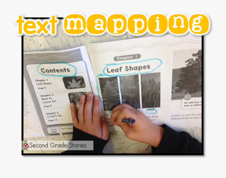 Flyer, Transparent Clipart