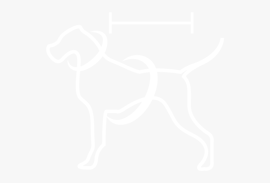 The Tail Begins Not Where It Ends - Dog, Transparent Clipart