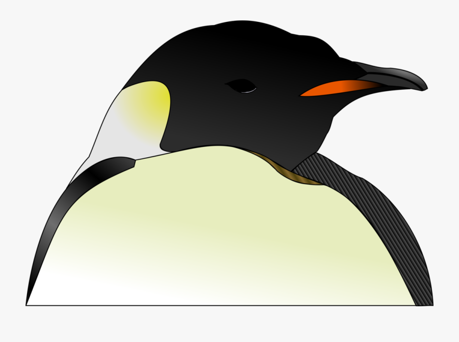 Cabeza De Pinguino Png, Transparent Clipart