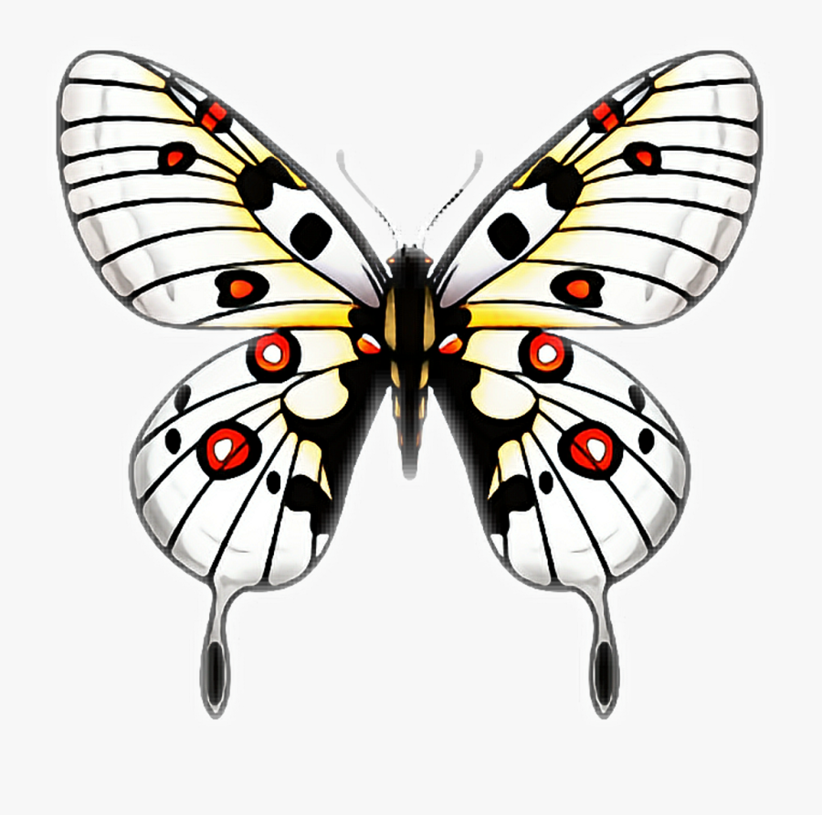 #butterfly #butterflies #papillon #mariposa #ftestickers - Background Sayap Kupu Kupu, Transparent Clipart