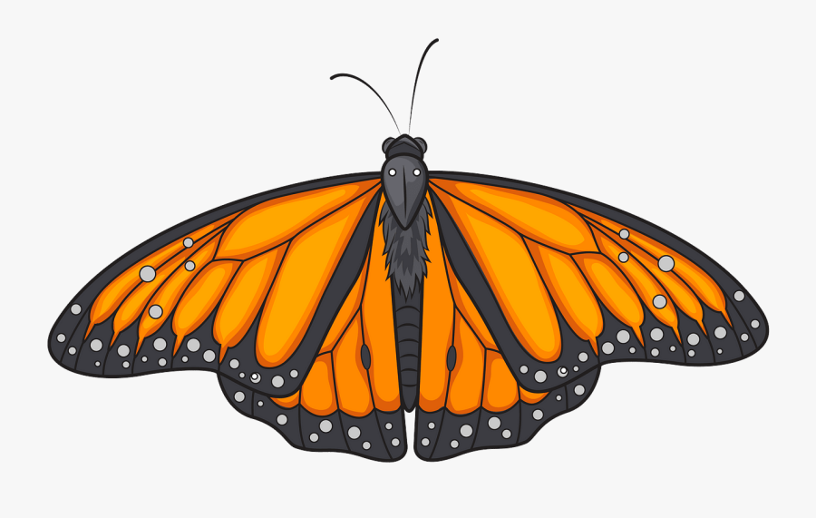 Angangueo, Transparent Clipart