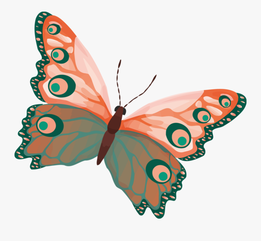 Butterfly,moth,fish - Colour Butterfly, Transparent Clipart