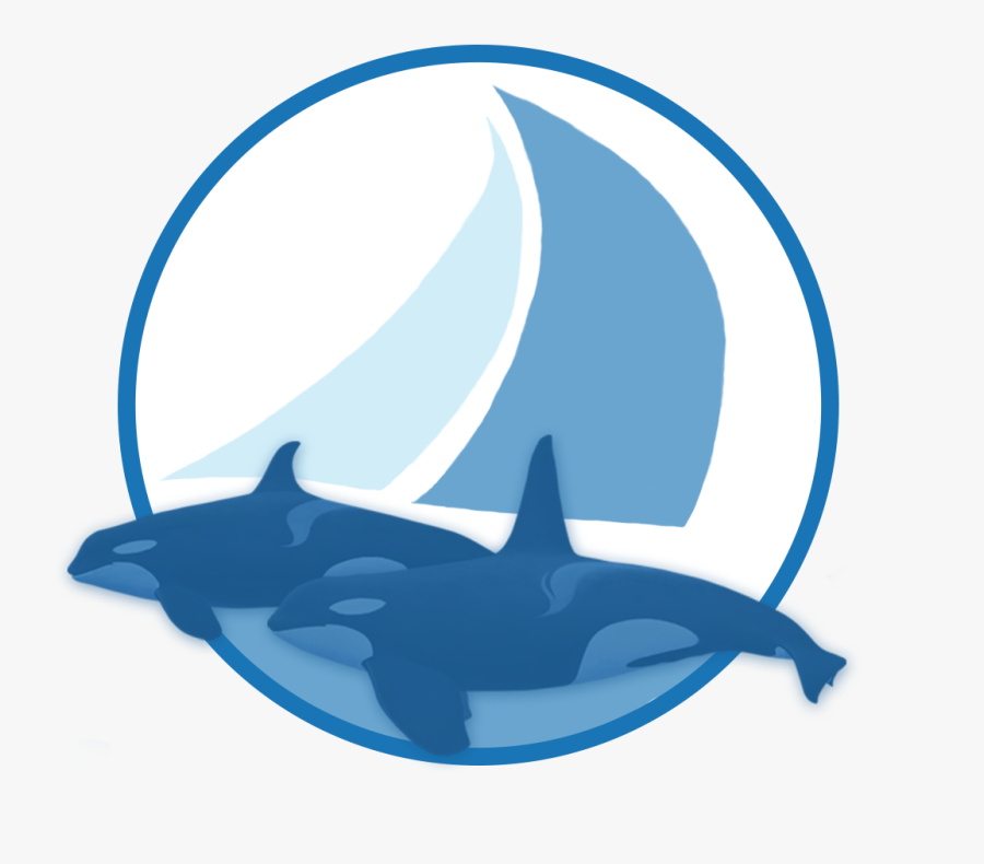 Sailing With Killer Whales, Transparent Clipart
