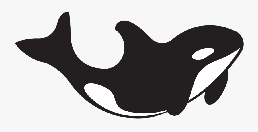 Killer Whale Clipart , Png Download, Transparent Clipart