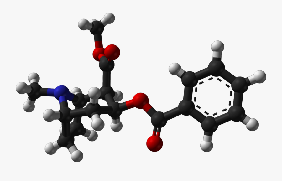 Human Behavior,computer Wallpaper,cocaine - Nucleic Acid 3d Model, Transparent Clipart