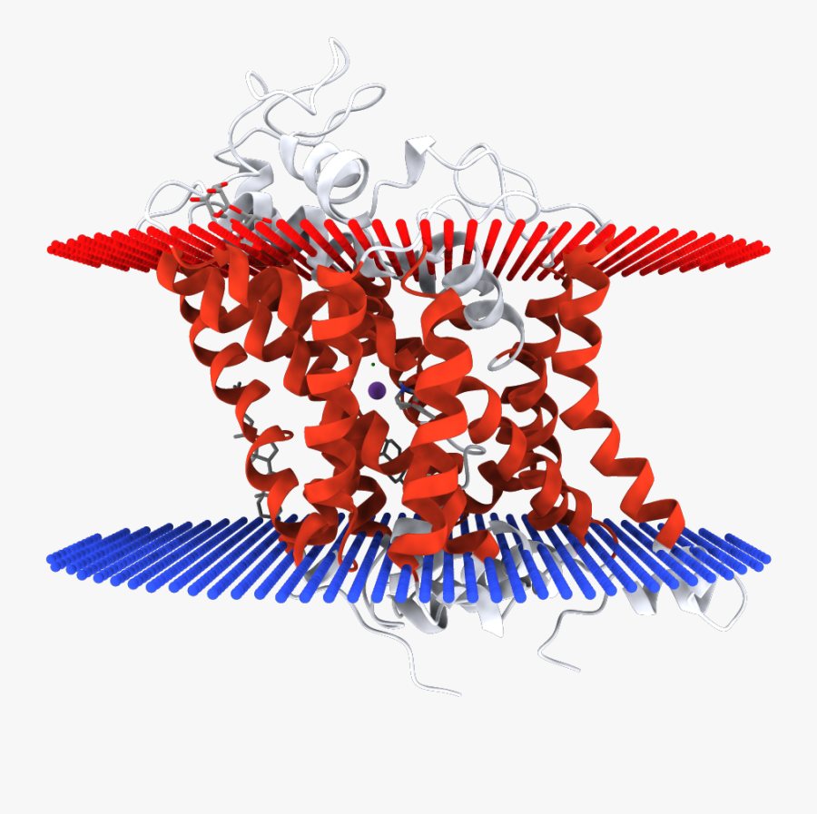 Illustration Clipart , Png Download, Transparent Clipart