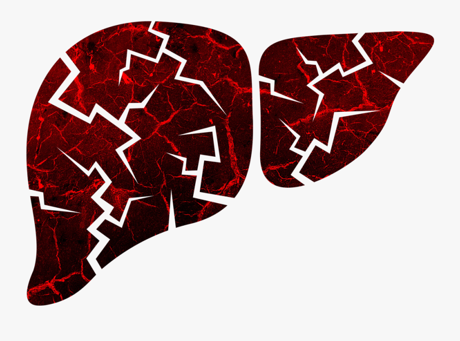 What Drug Use In The Here And Now Does To One"s Future, Transparent Clipart