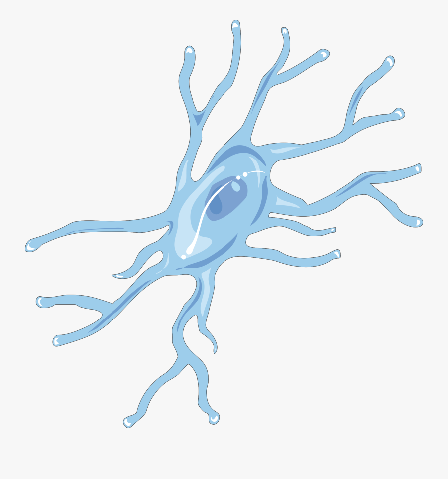 Servier Microglie, Transparent Clipart