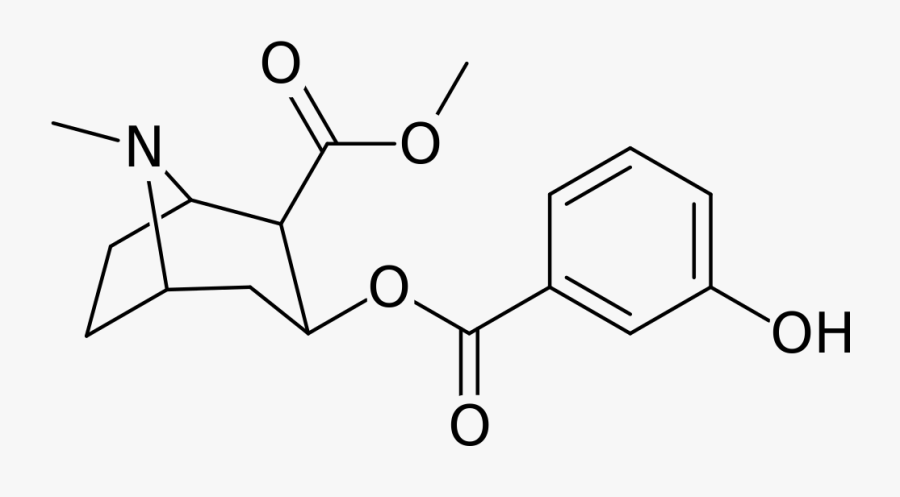 Cocaine Analog 184b - Quercetin 3 Sulfate, Transparent Clipart