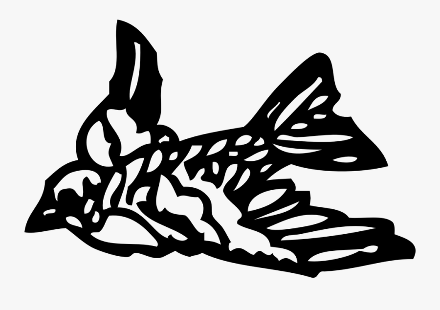 Small Bird, Transparent Clipart