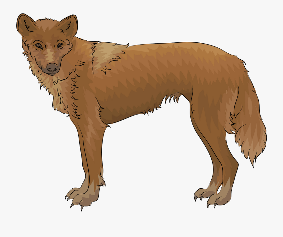 Swift Fox, Transparent Clipart