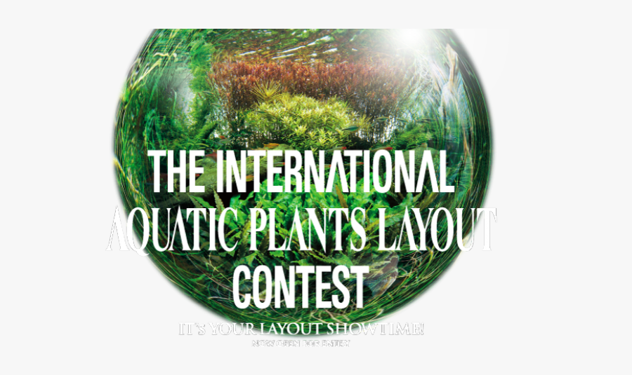 Toss A Bocce Ball, Transparent Clipart