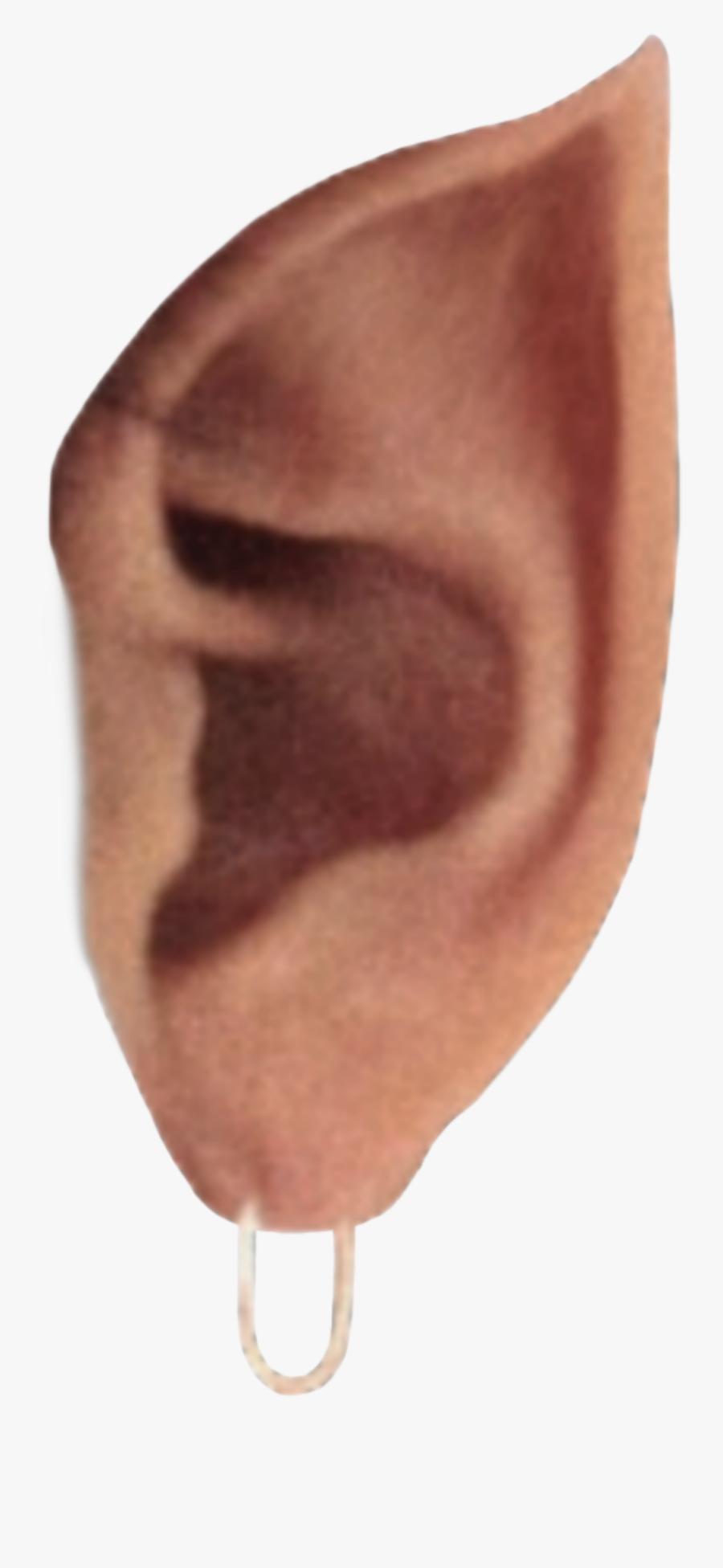 Update Old Sticker - Artifact, Transparent Clipart